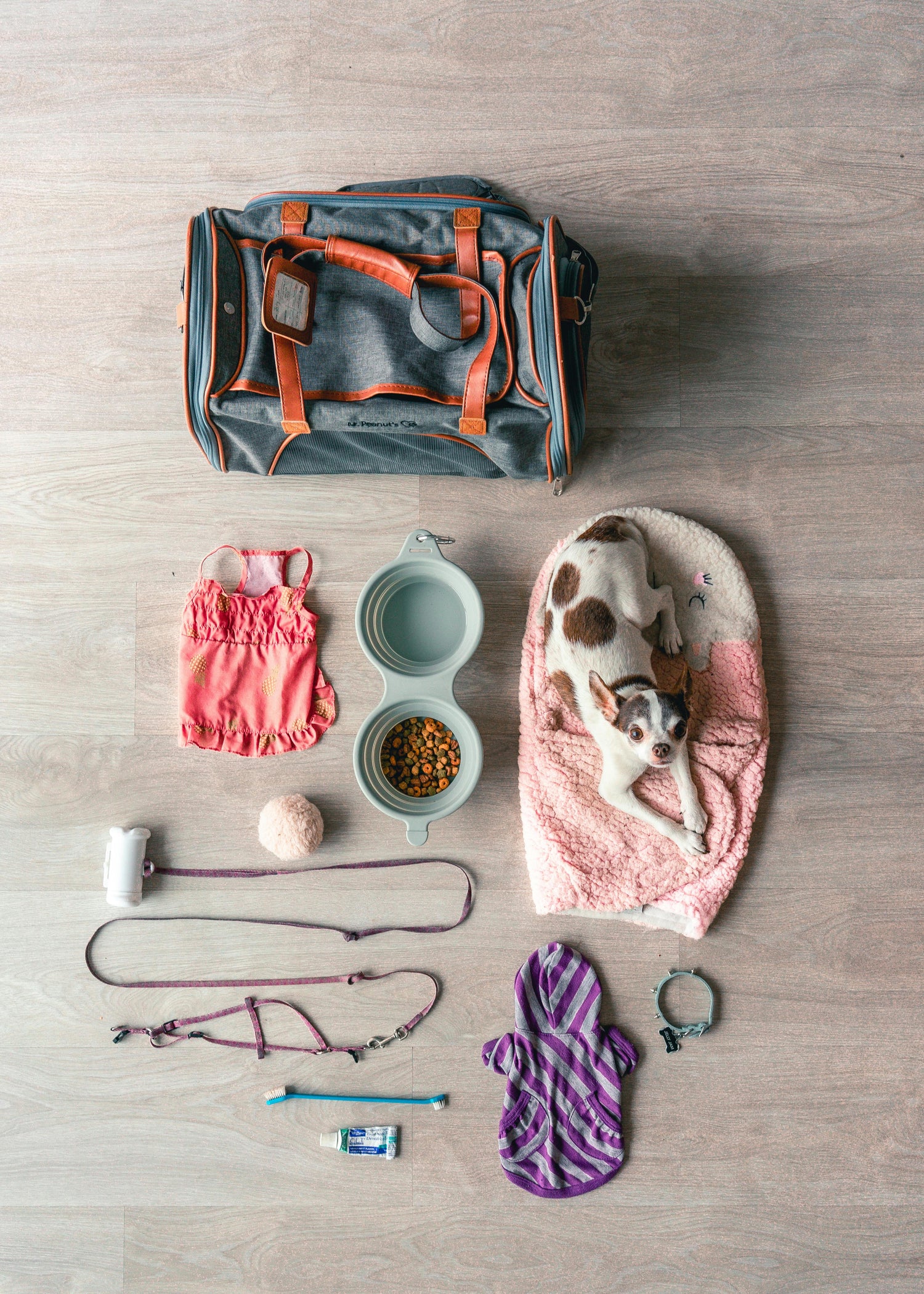  a puppy sleeping on a pink towel, surrounded by a travel bag, food bowl, leash, toys, grooming items, and clothes.